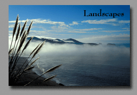 Landscapes